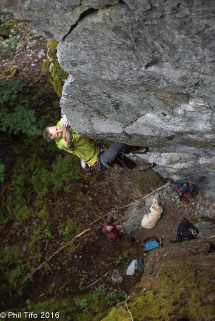 13731635_10154326871432744_442539635939061505_n